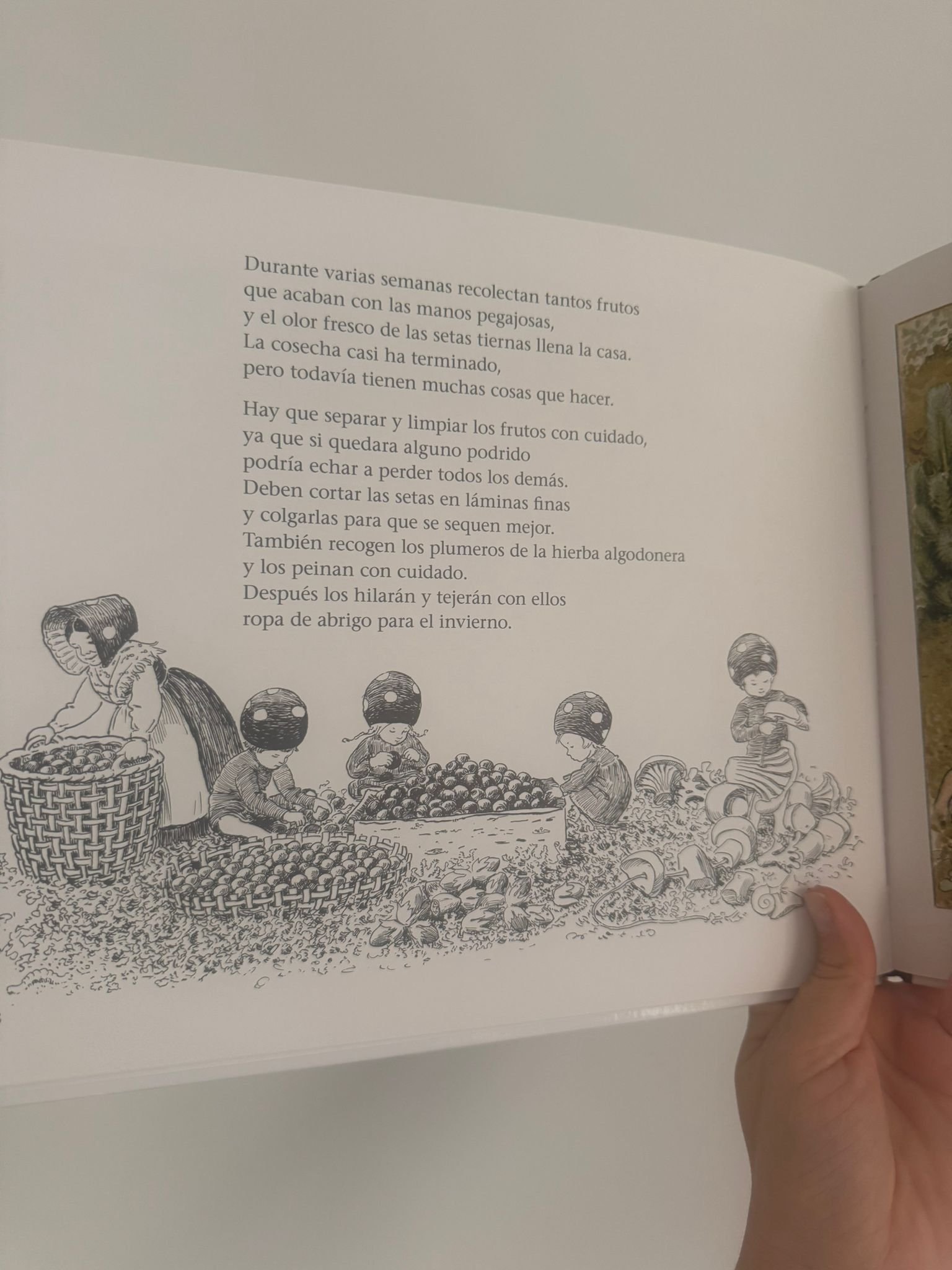 LOS NIÑOS DEL BOSQUE - Imagen 3