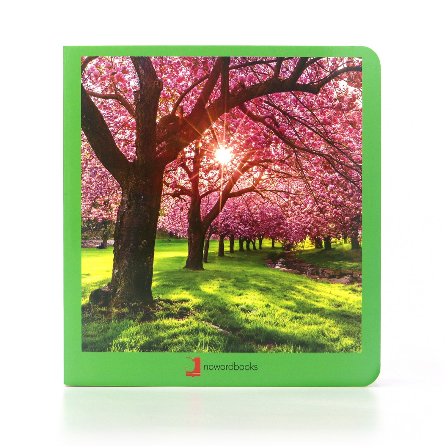 PRIMAVERA LIBRO DE IMÁGENES NOWORDBOOKS