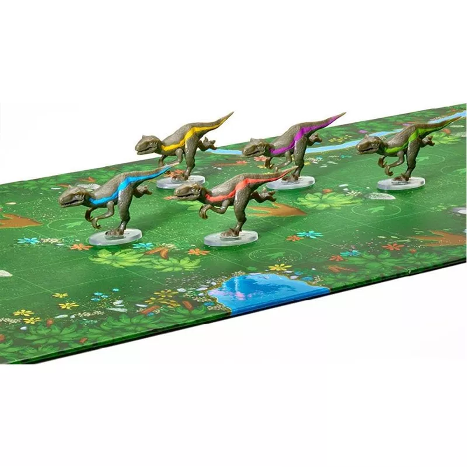 RAPTOR RACE-FLEXIQ - Imagen 2